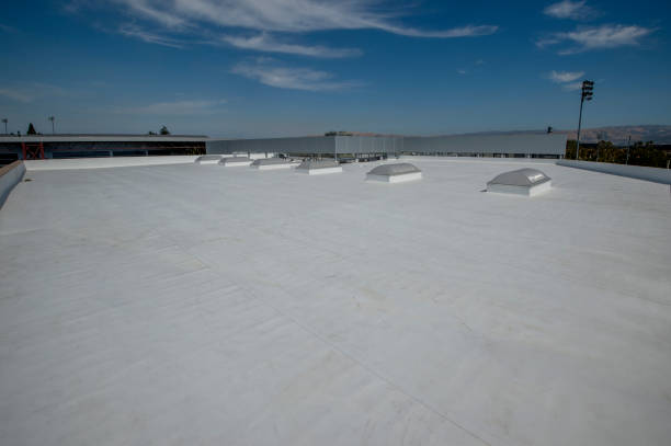 Best Metal Roofing Installation  in Los Alamitos, CA