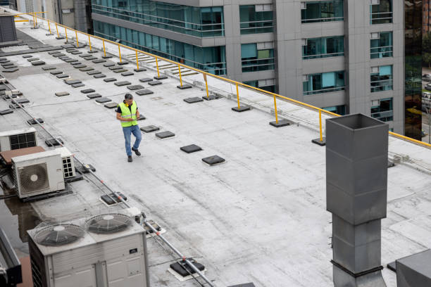 Best Steel Roofing  in Los Alamitos, CA