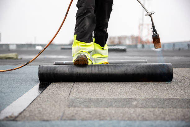 Best Roof Moss and Algae Removal  in Los Alamitos, CA