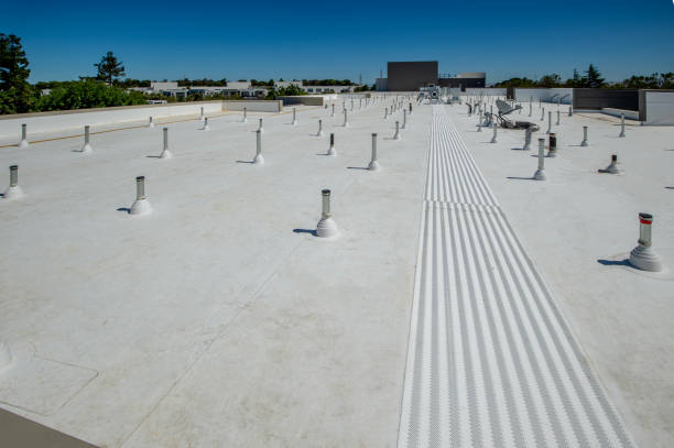 Best Roof Coating and Sealing  in Los Alamitos, CA